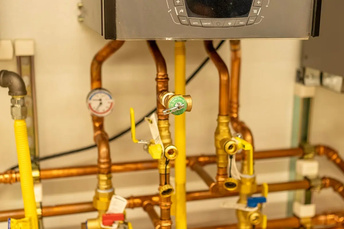 Licensed technician providing Sump Pump Repair for a homeowner in Watergate